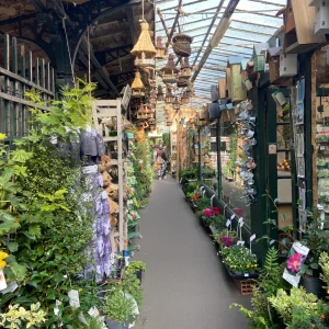 flowers market paris ilands tour